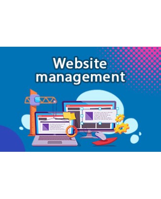 WEB SITE MANGEMENT